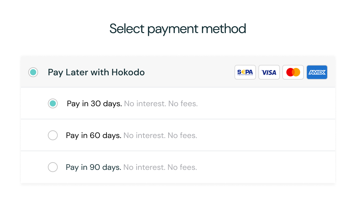 Checkout where B2B buyers cand choose their payment method