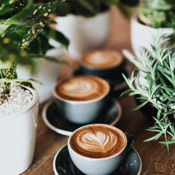 Coffee cups surrounded by plants