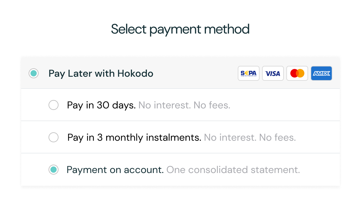 B2B e-commerce checkout page showing a range of payment terms options including ‘Pay in 30 days’, ‘Pay in instalments’ and ‘Payment on account’.