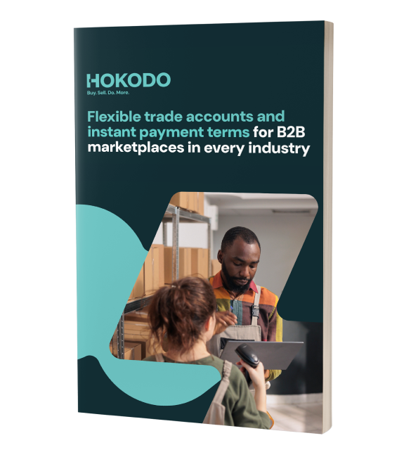 Brochure cover mockup featuring the title 'Flexible trade accounts and instant payment terms for B2B marketplaces in every industry’.