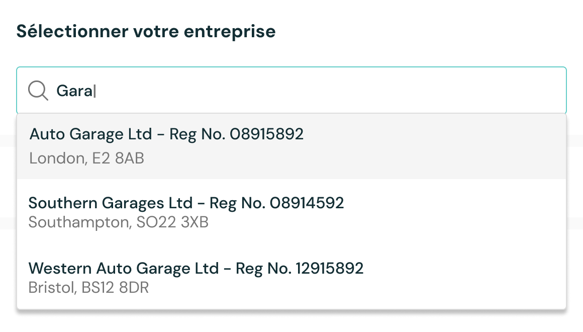A search tool to identify companies using their company name