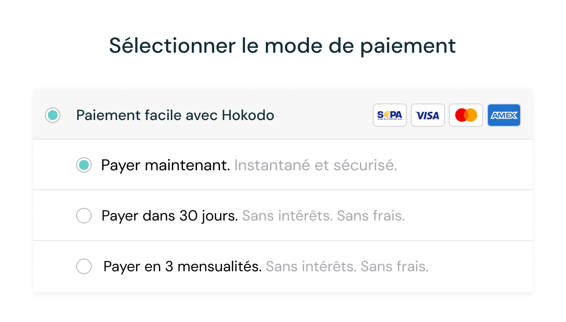 Page de paiement d'un e-commerce B2B présentant une série d'options de paiement, notamment "Payez plus tard" et "Payez maintenant".